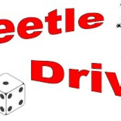 Beetle Drive