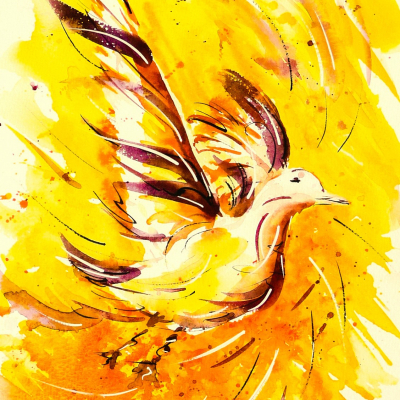 Dove, watercolour
