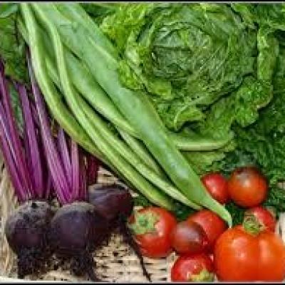 Harvest Veg