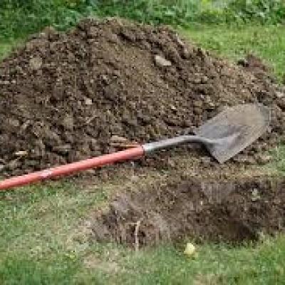 Talent Digging